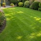 Turfing